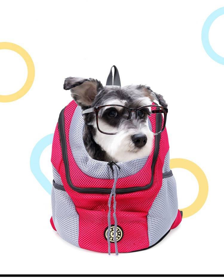 Mochila compacta para transportar perros con orificio para la cabeza Mochila compacta para transportar perros con orificio para la cabeza